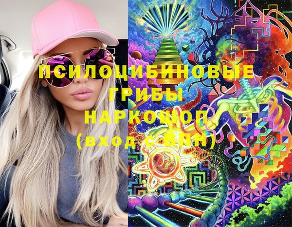 дмт Армянск