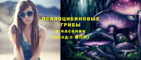 apvp Аркадак