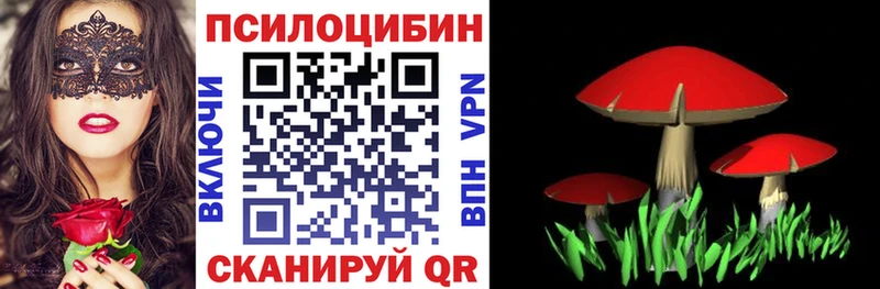 Псилоцибиновые грибы GOLDEN TEACHER  Белокуриха 