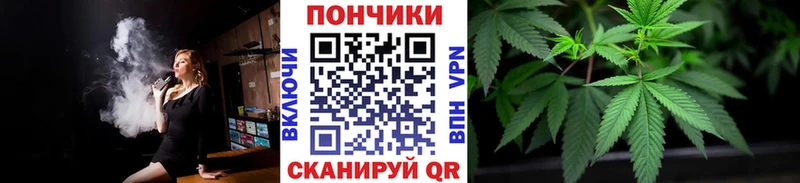 купить наркоту  Белокуриха  Бошки марихуана OG Kush 
